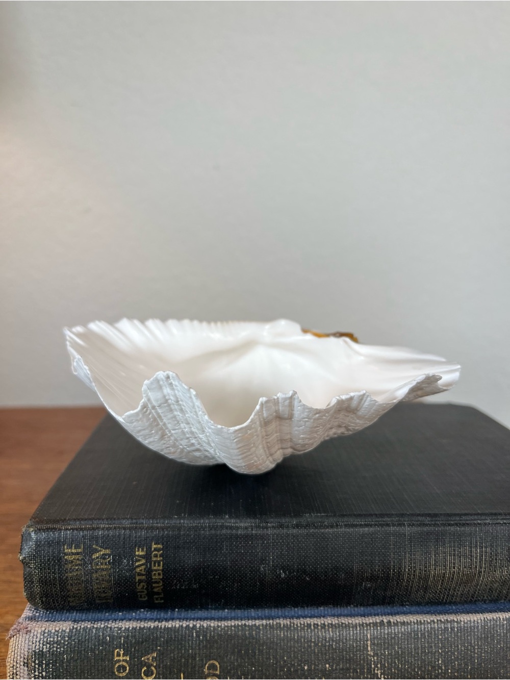 White Decorative Clam Shell - Elegant Home Art Accent